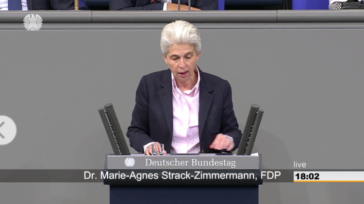 Rede BwEinsatzBerStGes