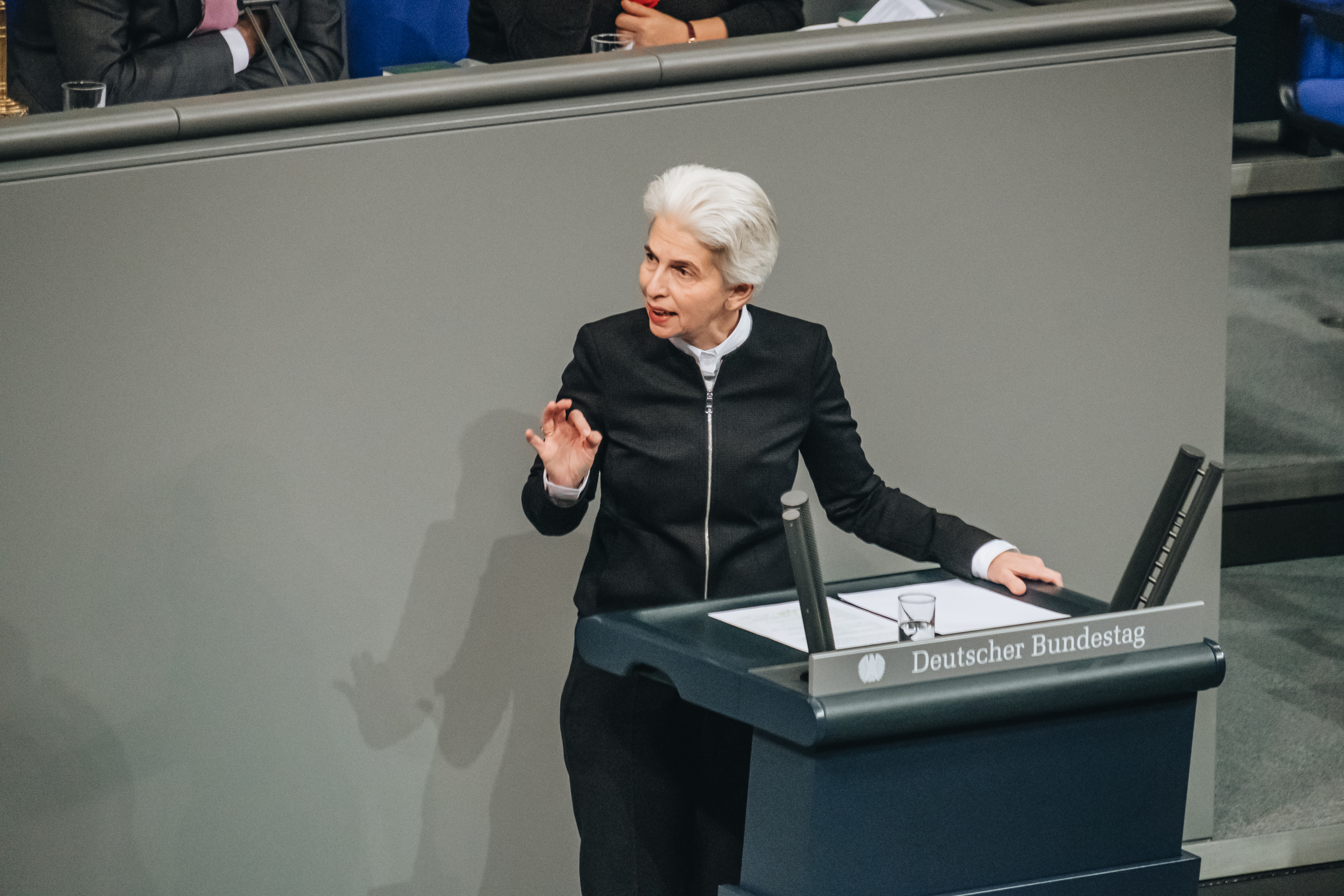 Rede im Deutschen Bundestag
