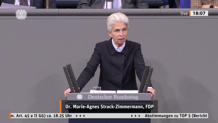 Screenshot: Rede zum Untersuchungsausschuss zur Berateraffäre